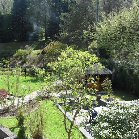 Pension Zum Rothaarsteig Netphen Екстериор снимка