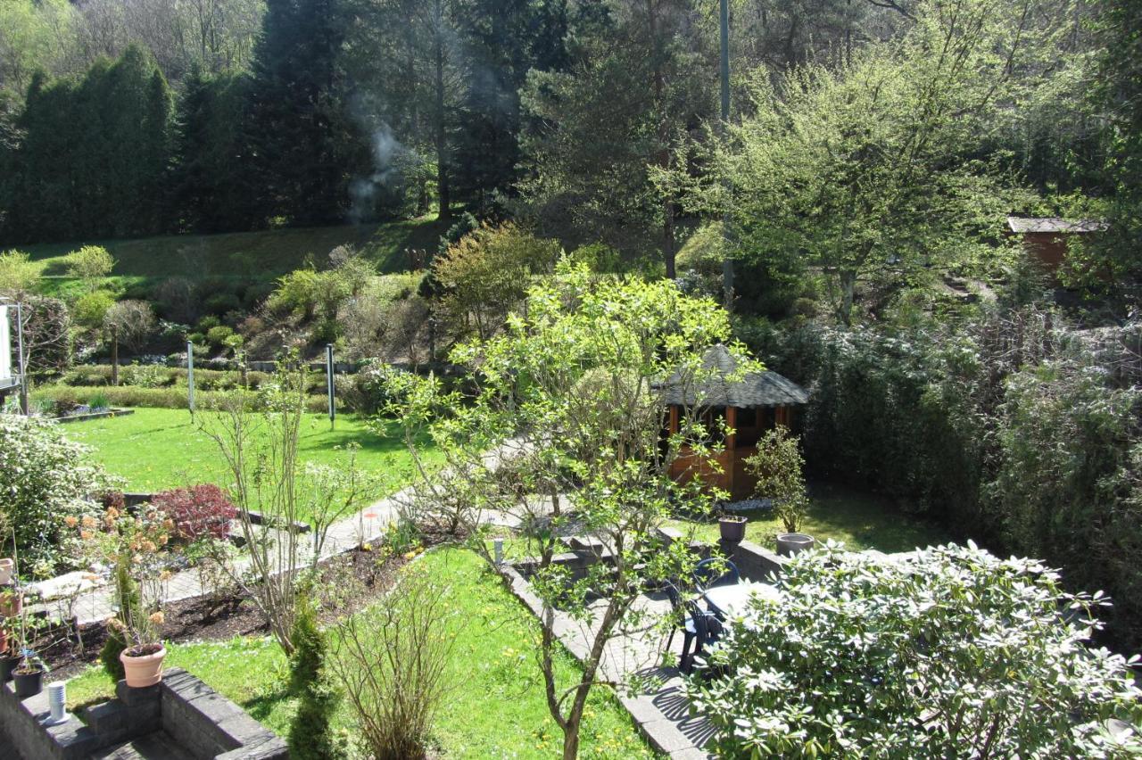 Pension Zum Rothaarsteig Netphen Екстериор снимка