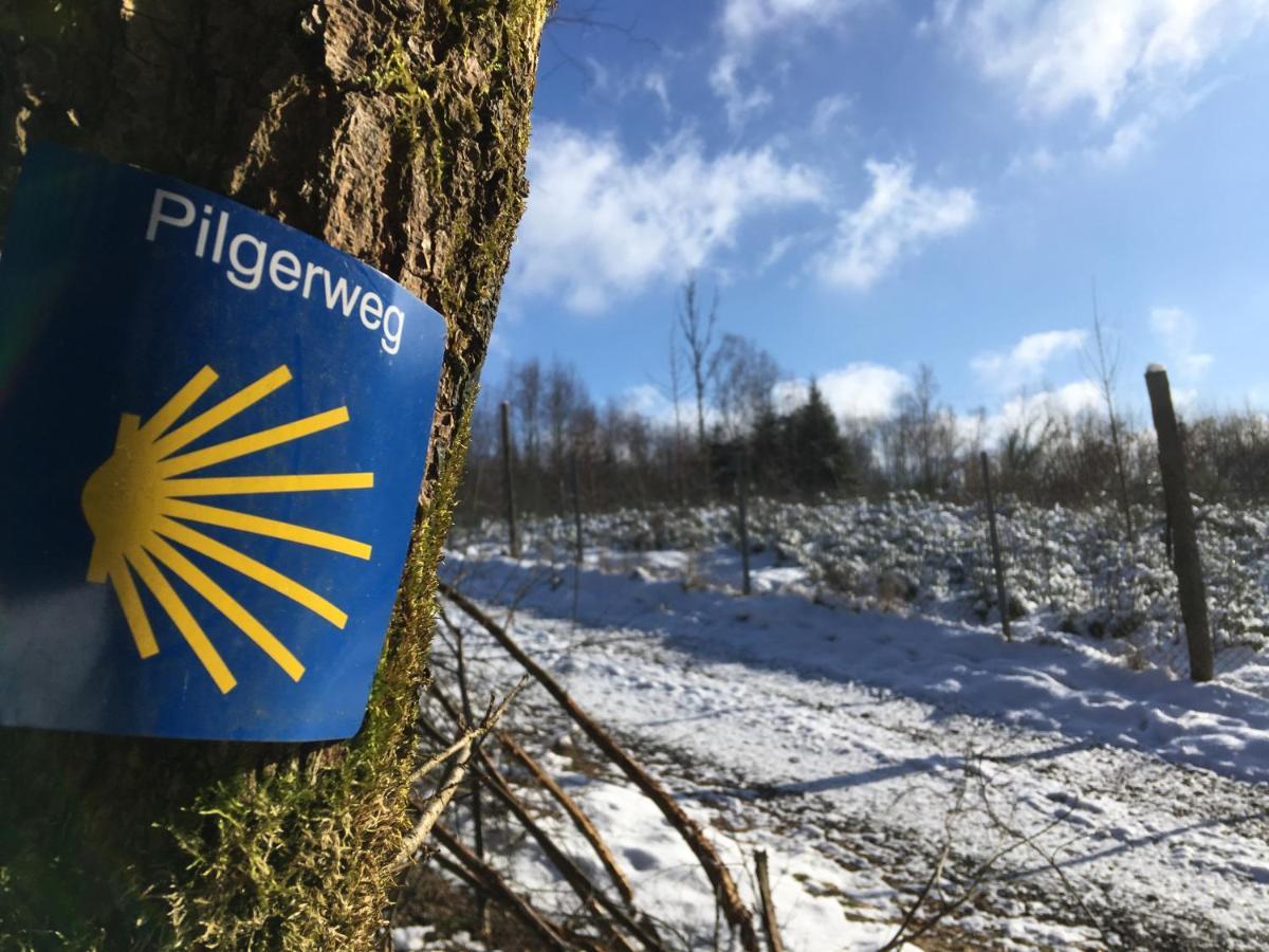 Pension Zum Rothaarsteig Netphen Екстериор снимка