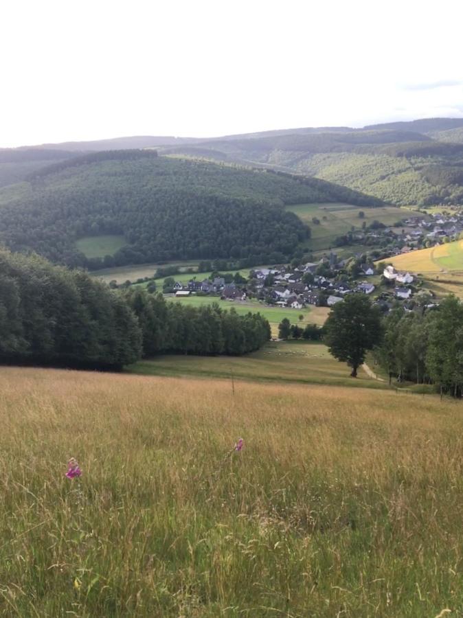 Pension Zum Rothaarsteig Netphen Екстериор снимка