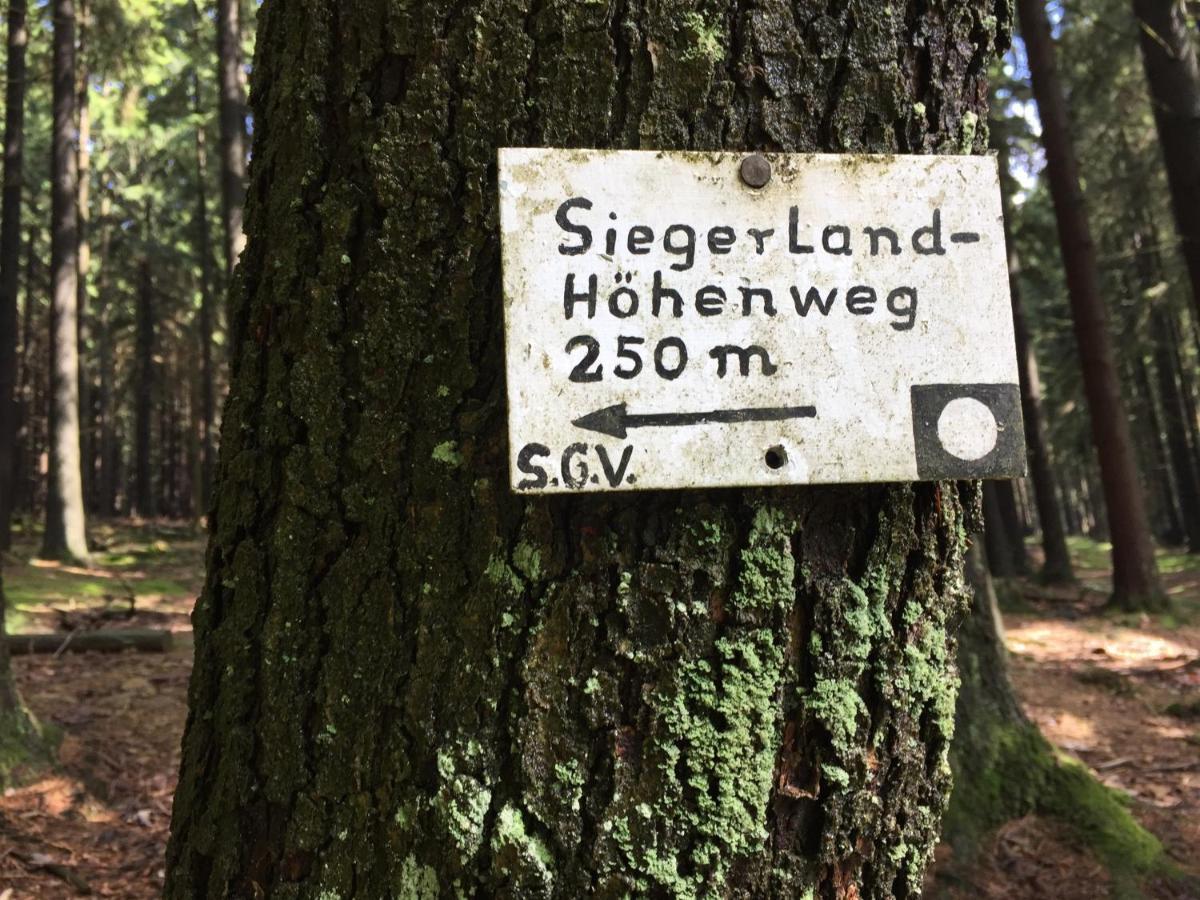 Pension Zum Rothaarsteig Netphen Екстериор снимка