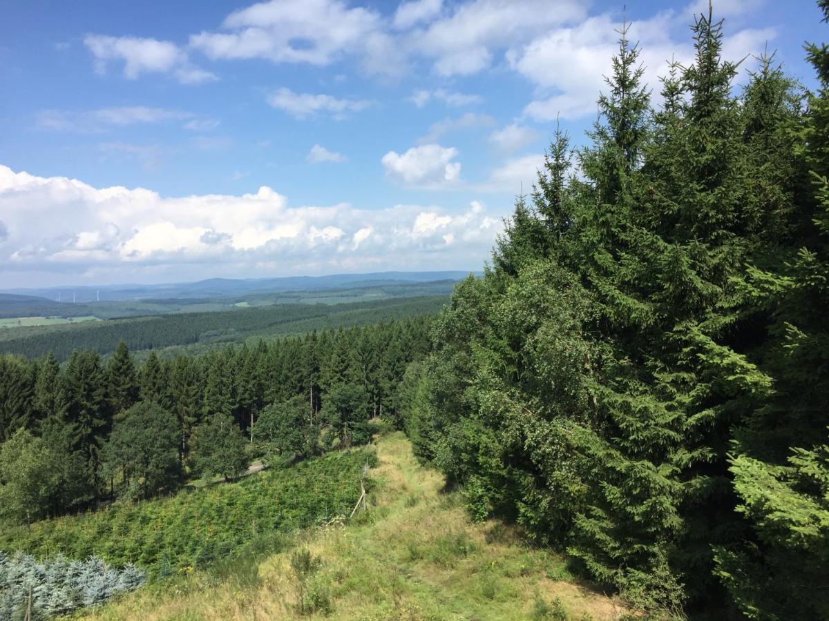 Pension Zum Rothaarsteig Netphen Екстериор снимка