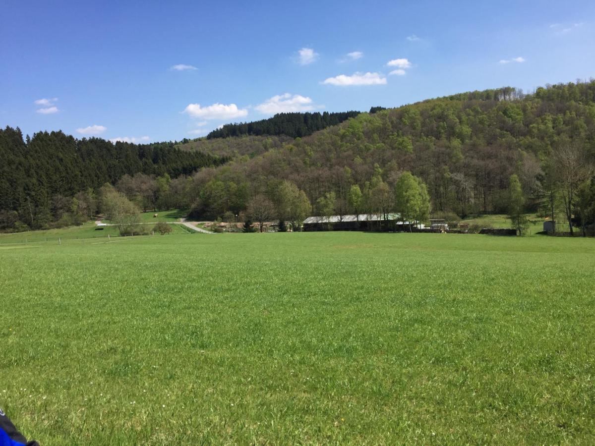 Pension Zum Rothaarsteig Netphen Екстериор снимка