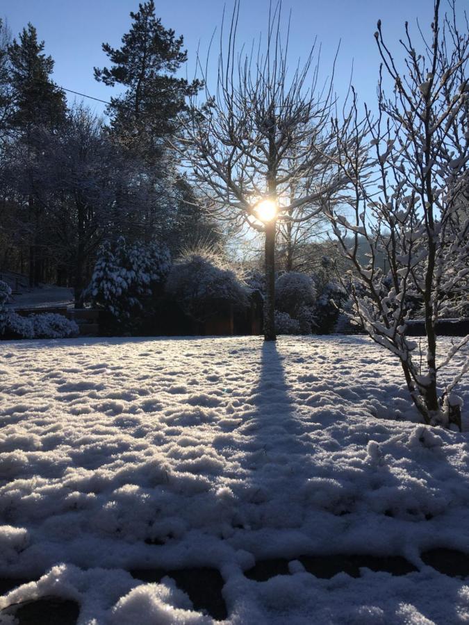 Pension Zum Rothaarsteig Netphen Екстериор снимка