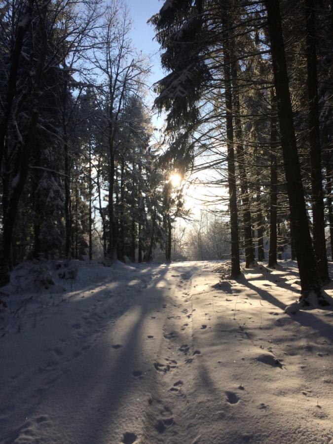 Pension Zum Rothaarsteig Netphen Екстериор снимка
